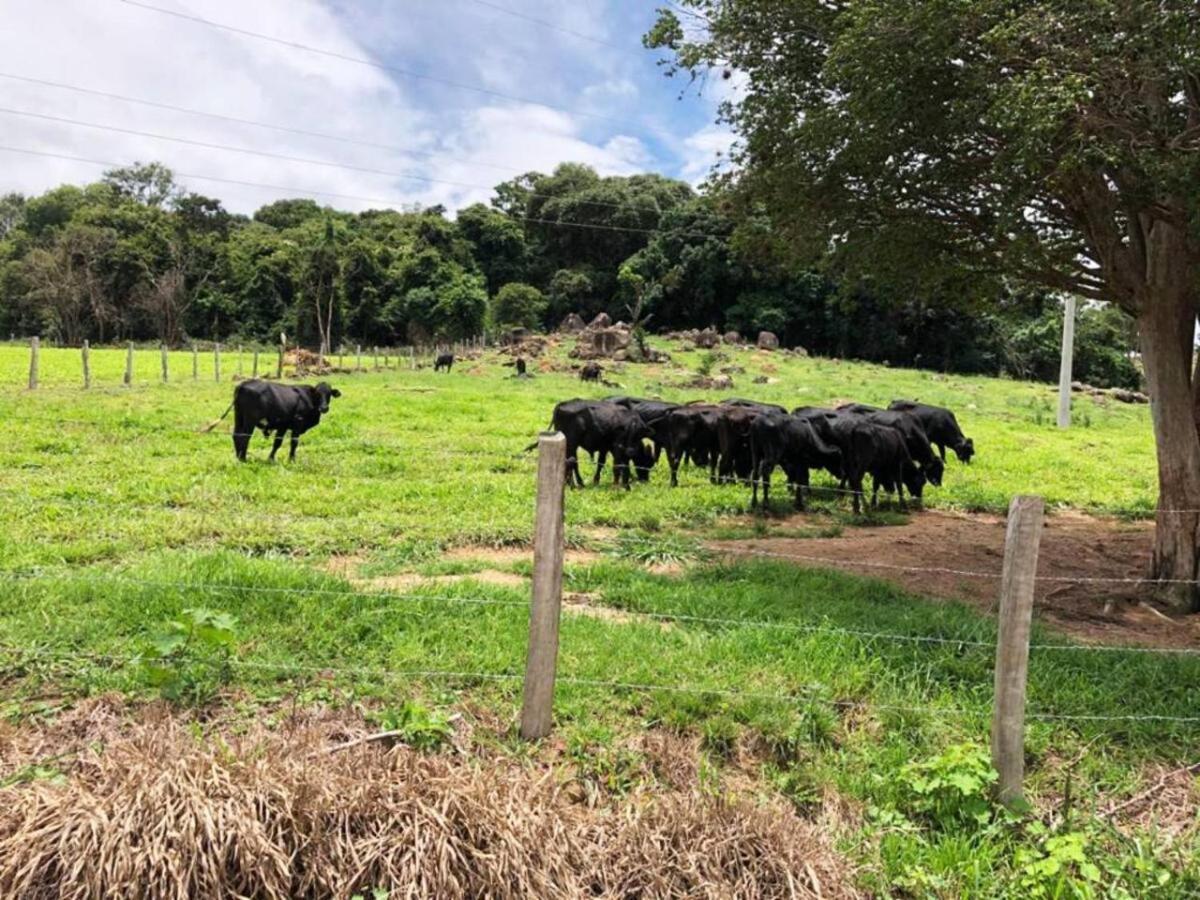 אגואס דה פראטה Sitio No Interior De Sp Para Curtir A Natureza מראה חיצוני תמונה